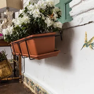 Patio Márquez Cordoue